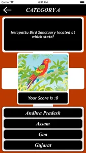 The Birds Knowledge screenshot 4