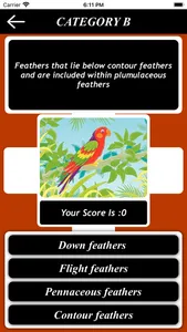 The Birds Knowledge screenshot 5