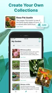 Find Plant: Plant Identifier screenshot 4