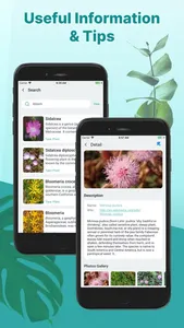 Find Plant: Plant Identifier screenshot 5