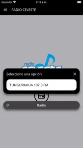 Radio Celeste FM screenshot 1