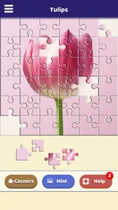 Tulip Love Puzzle screenshot 1