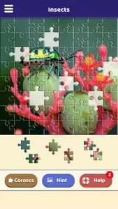 Insect Love Puzzle screenshot 4