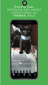 Tiutiu: Adoção de animais screenshot 4