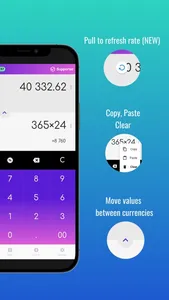 Fast Georgian Lari converter screenshot 1