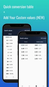 Fast Georgian Lari converter screenshot 4