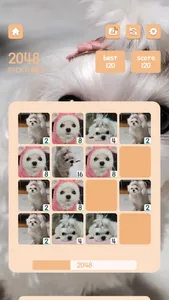 2048 Picktures screenshot 5