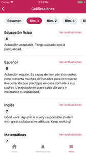 Instituto Carlos Scaffo screenshot 3