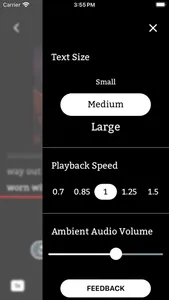 RYFT: A Timely Manor screenshot 2
