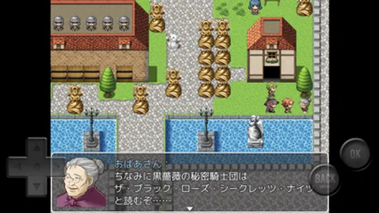 無駄が多すぎるＲＰＧ screenshot 3