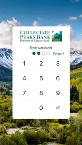 Collegiate Peaks Bank screenshot 1