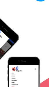 Api Magazines screenshot 2