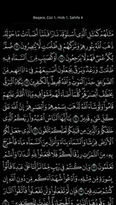 Tənzil (Təcvidli Quran) screenshot 5