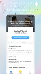 BRD - Meminta Bantuan screenshot 1