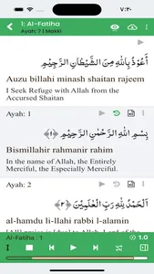 Al-Quran Ayat by ayat tafseer screenshot 1