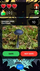 Death By Mushroom screenshot 1