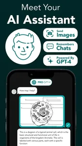 StudyAI - Web & Photo AI Tutor screenshot 5