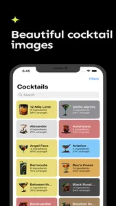 Cocktail Craft screenshot 4