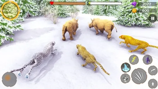 Wild Cheetah Family Sim 3D screenshot 3