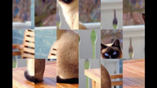 Adorable Cat Puzzles screenshot 0