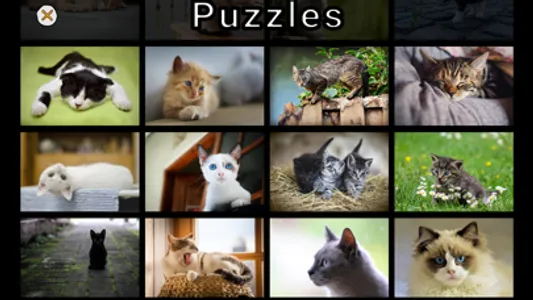 Adorable Cat Puzzles screenshot 2