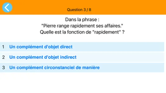 Grammaire CP-CM2 screenshot 2