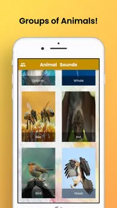 Animal Sounds - Realistic Tone screenshot 3
