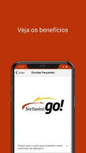 Stefanini Locadora screenshot 0