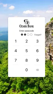 Ozark Bank screenshot 1