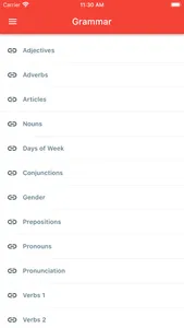 Spanish Grammar Offline screenshot 0