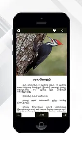 Theriyuma learn GK in Tamil screenshot 6