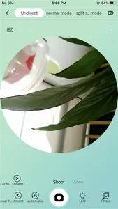 Angel View screenshot 1