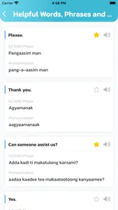 Ilocano Basic Phrase screenshot 4