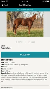 190 Proof Equine LLC screenshot 2