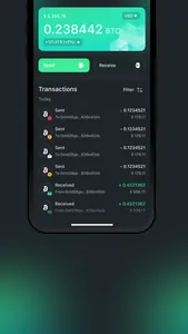 Rubicon Wallet screenshot 4