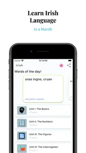 Learn Irish Language Easily screenshot 0