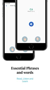 Learn Irish Language Easily screenshot 2