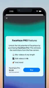 FaceHaze: Blur Faces in Videos screenshot 3