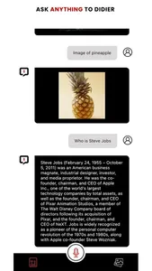Didier AI - Ask Anything screenshot 3