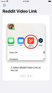 Direct Video Links for Reddit screenshot 3