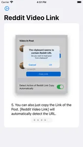 Direct Video Links for Reddit screenshot 5