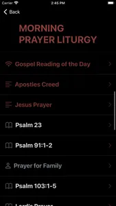 Prayer Liturgy screenshot 5