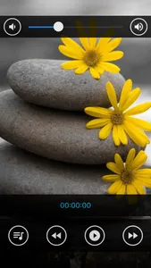 Relaxing Spa : Massage Music screenshot 1