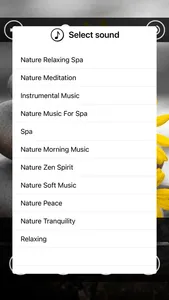 Relaxing Spa : Massage Music screenshot 2