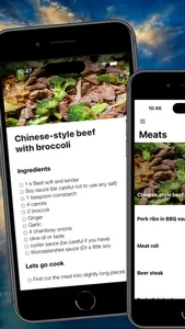 Meat Recipes Cookbook screenshot 4