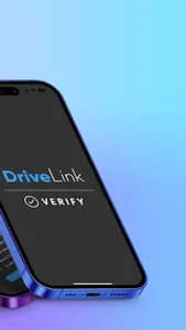 DriveLink Verify screenshot 1