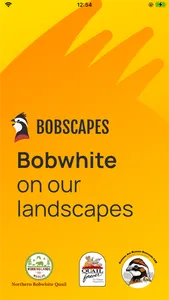 Bobscapes screenshot 0