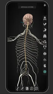 Virtual Medical Anatomy screenshot 5
