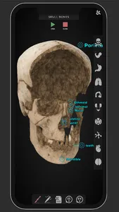Virtual Medical Anatomy screenshot 7