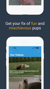 Pawfect Life - Puppy Training screenshot 6